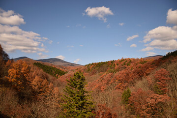 紅葉した山々