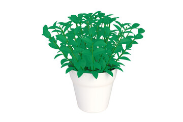 3d illustration of tropical plant in a white pot on a white background.