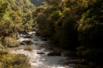 view of a beautiful river in summer