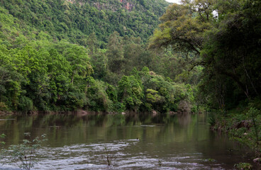 Fototapeta na wymiar view of a beautiful river in summer