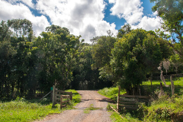 Obraz premium Ground road with trees, blue sky and clouds in the background