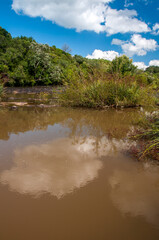 View of a beautiful river with a forest next to it and blue sky with clouds in the background