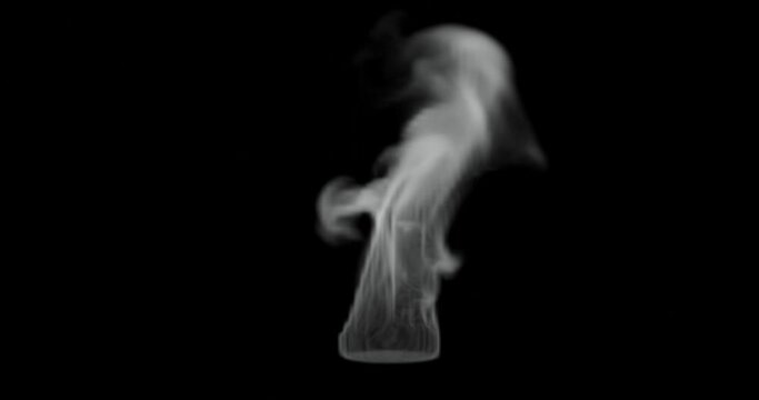 3d render of smoke or steam for food, hot surface effect for video overlay. Set screen for blending mode.











