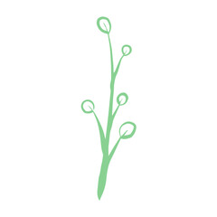 branch leaf