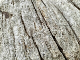 old wood texture