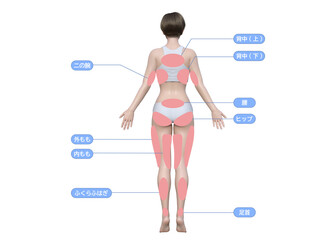 体の部位が記載された3dのモデル女性の背面 - 543781524