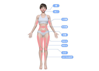 痩せやすい箇所が記載された3dのモデル女性の正面
