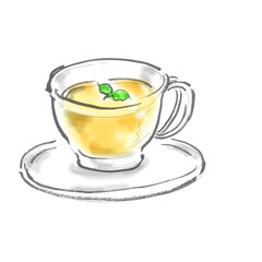 ハーブティー手描きイラスト