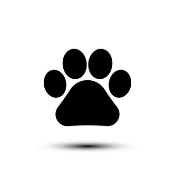 Paw icon. flat design vector illustration for web and mobile