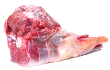 Leg of lamb on a white isolated background
