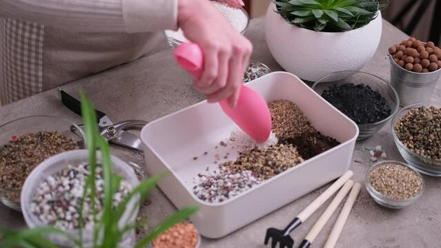 Home Gardening and plant transplantation - Woman mixing soil substrate with hands