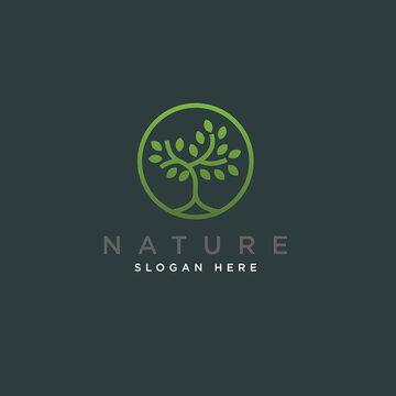 Nature Tree Minimalist Logo Design Vector