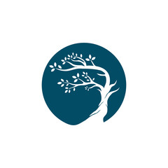 Bonsai logo design, tree icon vector illustration