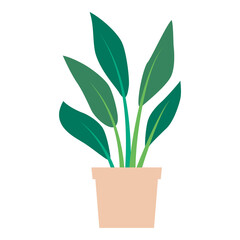 Illustration of houseplant in a pot