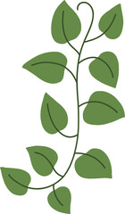 simplicity ivy freehand drawing.