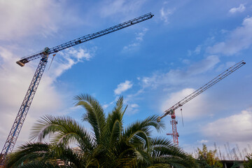 Construction cranes on the construction of an apartment building in a resort town. Blue cloudy sky. Palm branches below.
