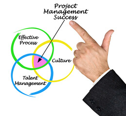  Components of Project Management Success