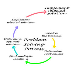 Components of Problem Solving Process