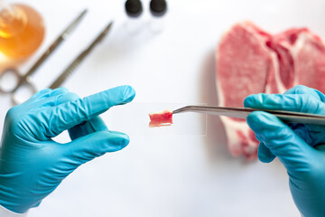 Scientist use forceps to prepare meat specimens on a microscope slide to check the quality of the...