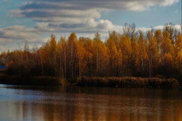autumn trees reflected in water