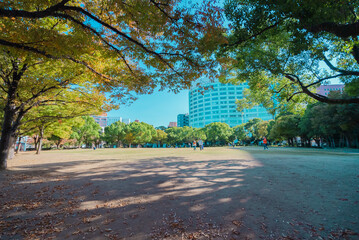 【福岡】天神中央公園