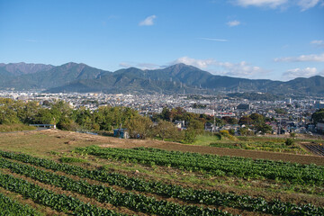 Fototapeta na wymiar 渋沢丘陵から見た丹沢