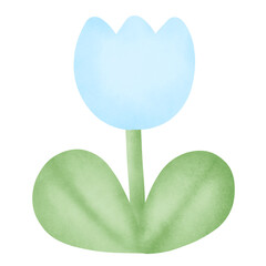  tulip flower