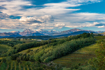 Obraz premium Colorful sunset in the vineyards at the border between Italy and Slovenia