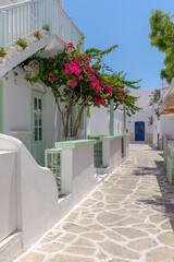 Traditional Cycladitic alley with narrow street, whitewashed houses and a blooming bougainvillea in Antiparos island, Greece.