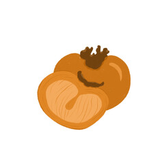 Hand drawn illustration persimmons fruit