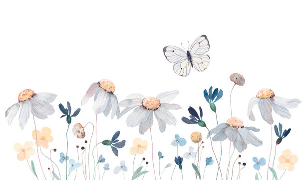 Watercolor illustration with wildflowers, herbs and butterfly. Panoramic horizontal isolated illustration. Summer meadow. Illustration for card, border, banner or your other design.