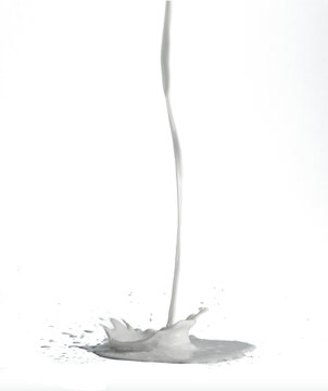 Isolated of pouring milk with splash and drops