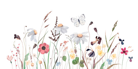 Fototapeta na wymiar Watercolor illustration with wildflowers, herbs and butterfly. Panoramic horizontal isolated illustration. Autumn meadow. Illustration for card, border, banner or your other design.