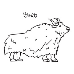 Animal. Yak. Vector outline illustration on white background.