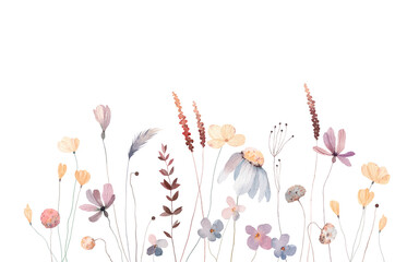 Summer meadow. Cute watercolor flowers horizontal border isolated on white background. Illustration for card, border, banner or your other design. Autumn. - 543812781