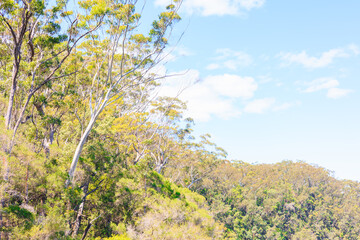 Minyon Falls Lookoutから見える青空と山々