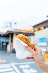  Taiyaki - pancake fish shave in Japanese style