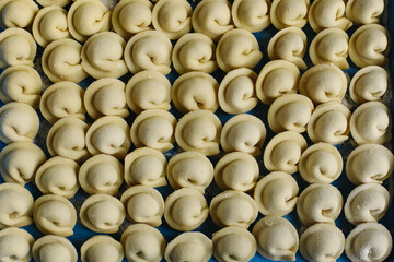 Close-up of many handmade dumplings on a tray in the freezer.