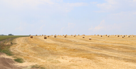 Obraz premium Banner. Field with stacks of wheat. Against the background of the blue sky. Copyspace