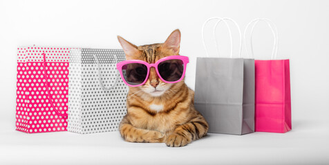 Funny red cat in glasses with paper bags on a white background.