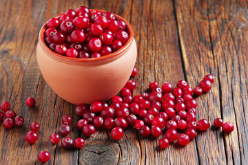 Forest red cranberries