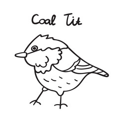 Coal tit. Bird. Outline vector illustration on white background.
