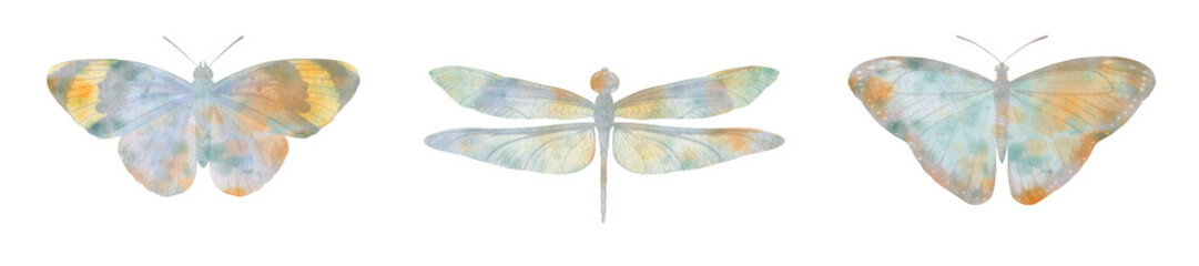 set of watercolor butterflies and dragonfly. collection of butterflies for design