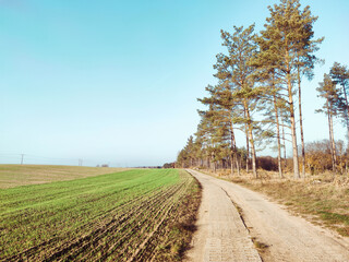 road in the field