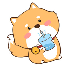 the dog drinking water