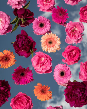 abstract art of red and pink roses and gerber flowers on mirror reflecting the blue sky