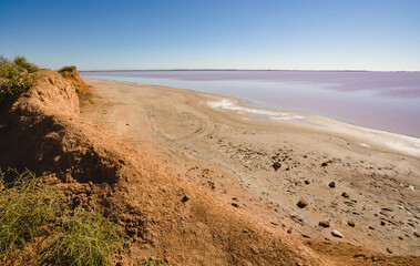 Pink lake Sasyk-Sivash in Crimea. 