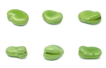 そら豆 そらまめ イラスト リアル セット