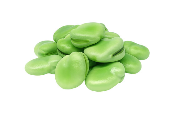 そら豆 そらまめ イラスト リアル セット