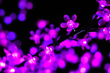 Fototapeta na wymiar close of led purple light flower form, hanging on tree at night with bokeh and black background